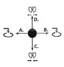Pytanie 120 - ilustracja