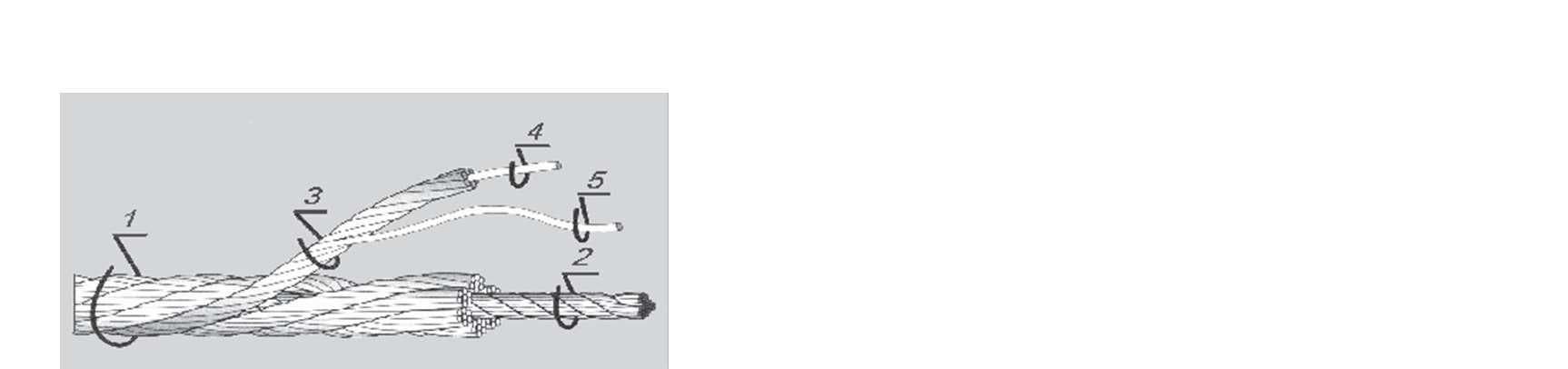 Pytanie 922 - ilustracja