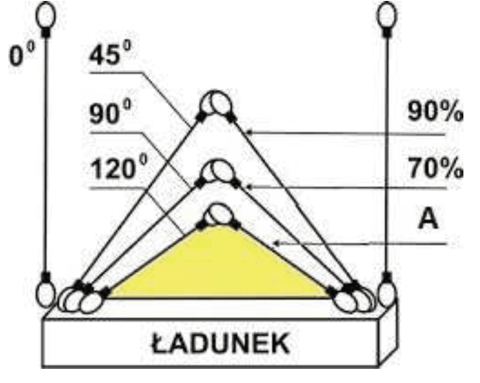 Pytanie 313 - ilustracja